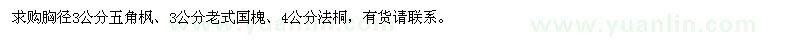 求購胸徑3公分五角楓、3公分老式國槐、4公分法桐