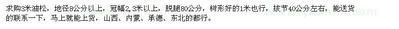 求購3米油松