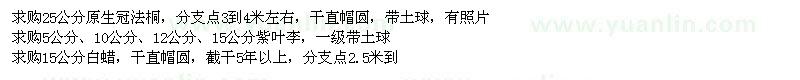 求購法桐、紫葉李、白蠟