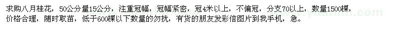 求購50公分量15公分八月桂