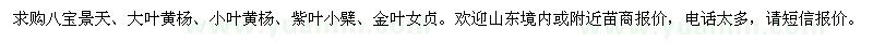 求購(gòu)八寶景天、大（?。┤~黃楊、紫葉小檗