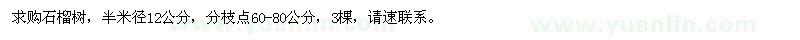 求購米徑12公分石榴樹