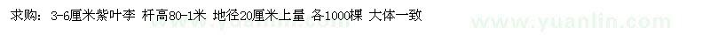 求購3-6公分紫葉李
