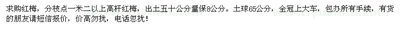 求購8公分高桿紅梅