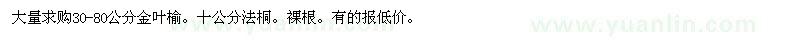 求購30-80公分金葉榆、10公分法桐