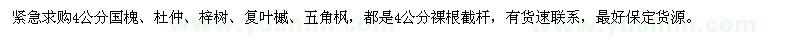 求購國槐、杜仲、梓樹、復(fù)葉槭、五角楓