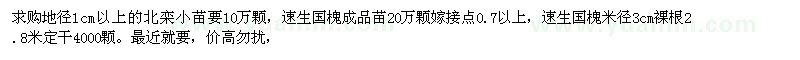 求購北欒小苗、速生國槐