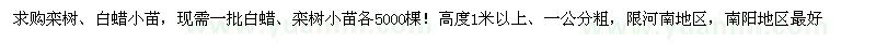 求購欒樹、白蠟小苗