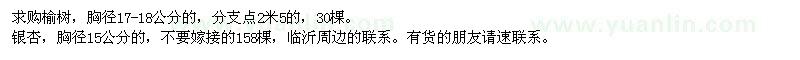 求購榆樹、銀杏