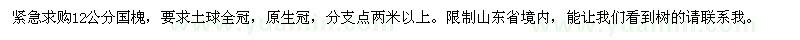 求購12公分國槐