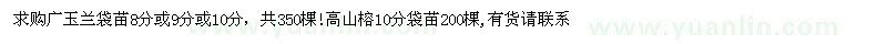 求購(gòu)廣玉蘭、高山榕袋苗