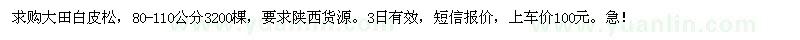 求購80-110公分白皮松