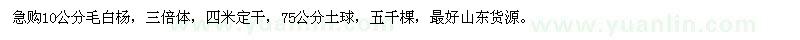 求購10公分毛白楊