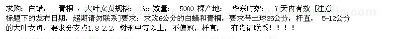 求購白蠟、青桐 、大葉女貞