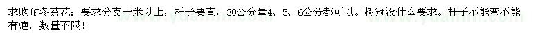 求購(gòu)30公分量4、5、6公分耐冬茶花