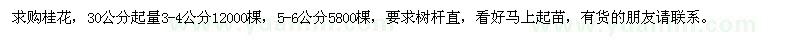 求購30公分起量3-4、5-6公分桂花
