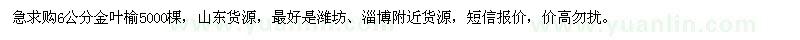 求購6公分金葉榆