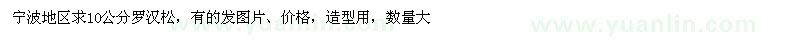 求購10公分羅漢松