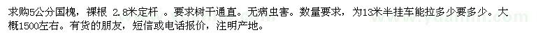 求購5公分國槐