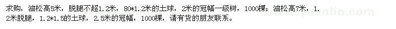 求購高5、7米油松
