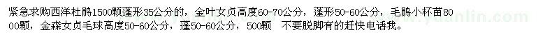 求購西洋杜鵑、金葉女貞、毛鵑小杯苗等