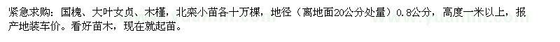 求購國槐、大葉女貞、木槿