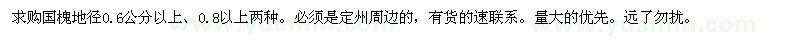求購地徑0.6公分以上國槐 