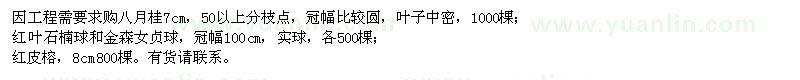 求購(gòu)八月桂、紅葉石楠球、金森女貞球
