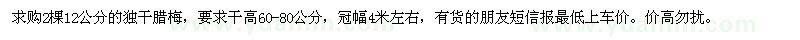 求購12公分獨干臘梅 