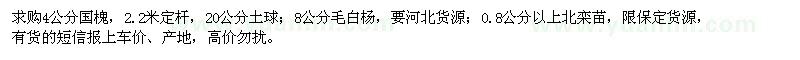 求購國槐、毛白楊、北欒苗