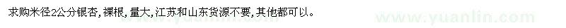 求購米徑2公分銀杏