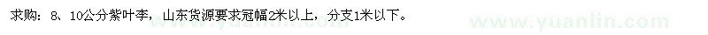 求購8、10公分紫葉李