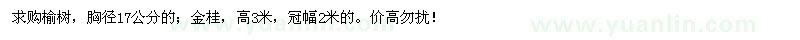 求購榆樹、金桂