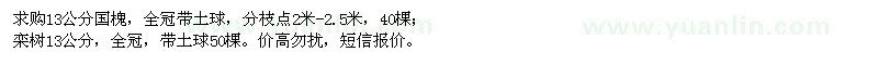 求購13公分國槐、13公分欒樹