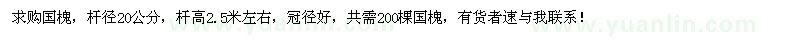 求購桿徑20公分國槐