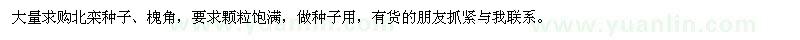 求購(gòu)北欒種子