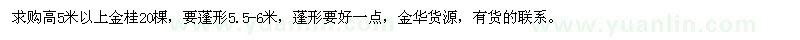 求購高5米以上金桂