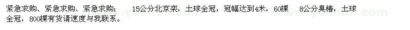 求購北欒、臭椿