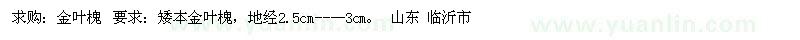 求購金葉槐