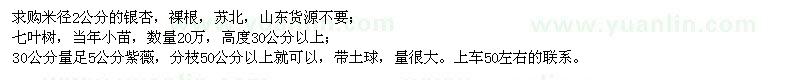 求購(gòu)銀杏、七葉樹(shù)、紫薇