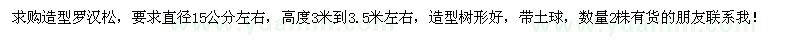 求購造型羅漢松