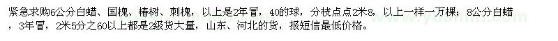 求購白蠟、國槐、椿樹、刺槐