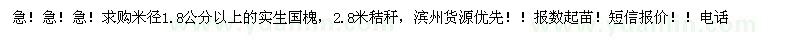 求購(gòu)米徑1.8公分以上國(guó)槐