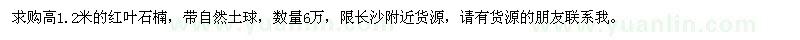 求購(gòu)高1.2米紅葉石楠
