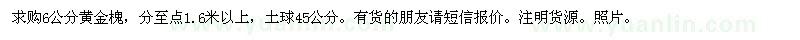 求購6公分黃金槐