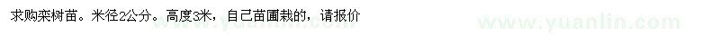求購米徑2公分欒樹苗