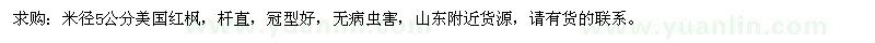 求購米徑5公分美國紅楓