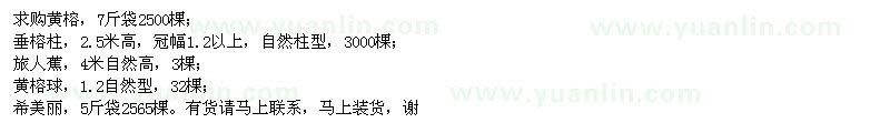 求購黃榕、垂榕柱、旅人蕉