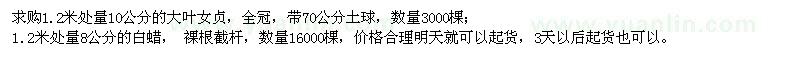 求購(gòu)大葉女貞、白蠟