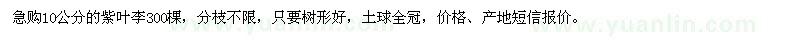 求購10公分紫葉李